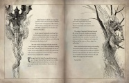 Book-of-tyrael04.jpg