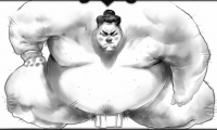 Cinematic-panel-56-sumo.jpg