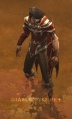 DHTabard1.jpg